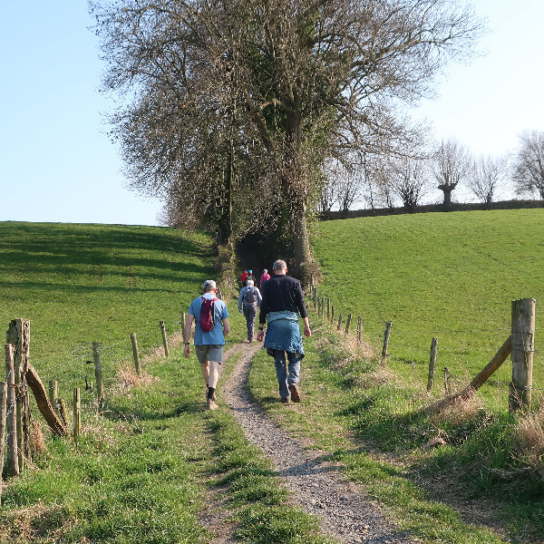 Wandelen vanuit klooster wittem