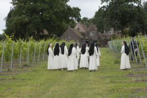 zusters norbertinessen in de wijngaard