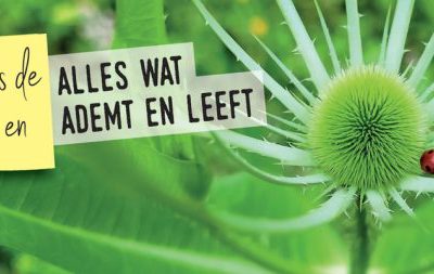 Nieuwe inspiratiegids voor Periode van de Schepping ‘Genees de aarde en alles wat ademt en leeft’