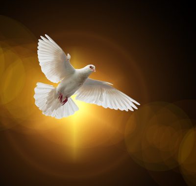 Oproep Nederlandse bisschoppen: “Laat de wapens zwijgen”